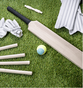 Cricket
