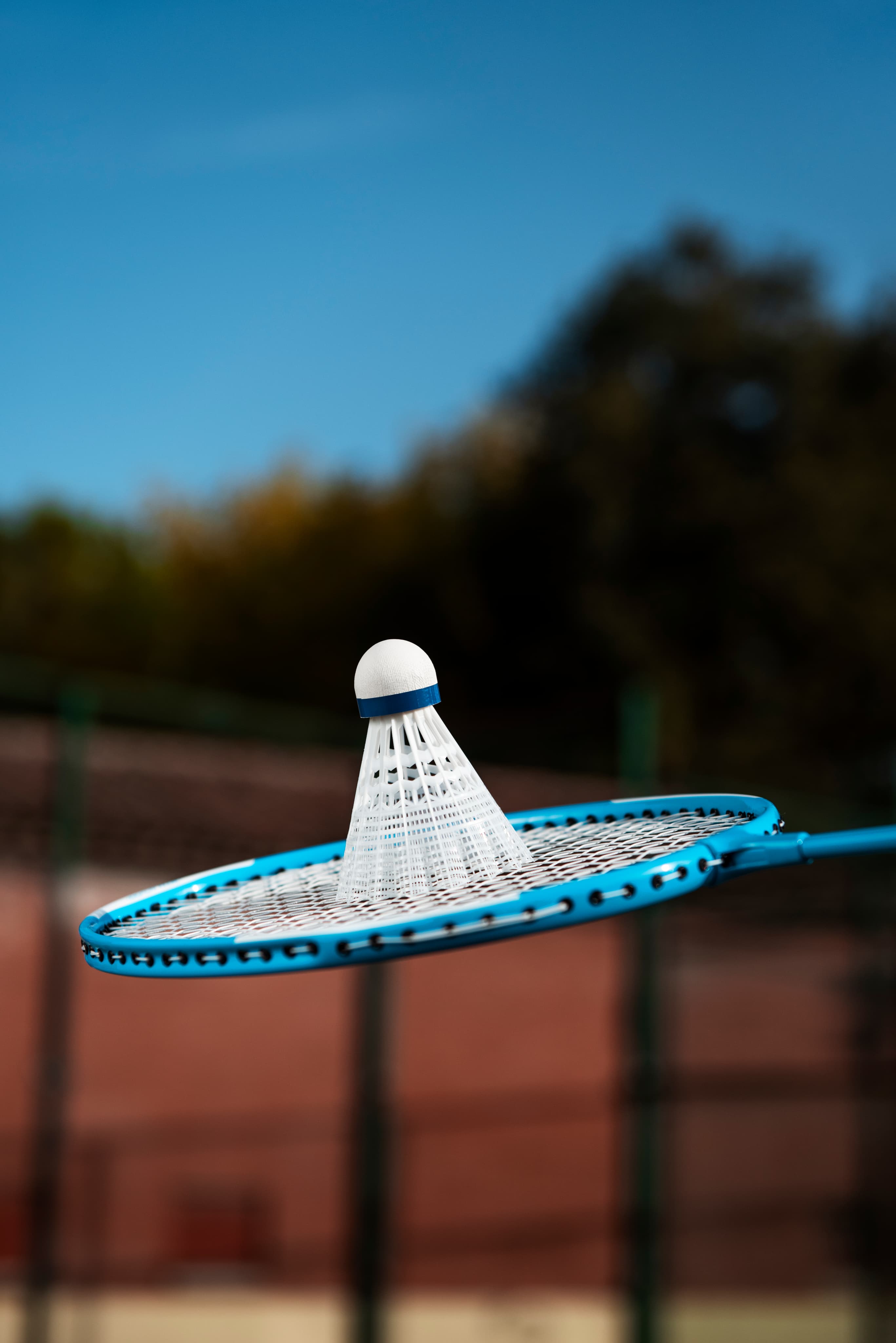 Badminton shuttlecock on court